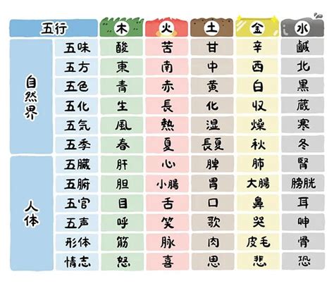 五行分類表|五行思想